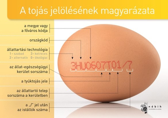 tojás kód