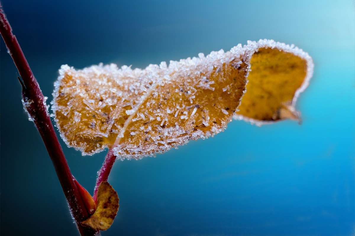 A fagyosszentek – történet és hagyomány
